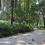 Quinta Da Serrana Κατάλυμα σε φάρμα