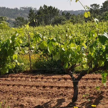 Quinta Da Serrana * Ourém