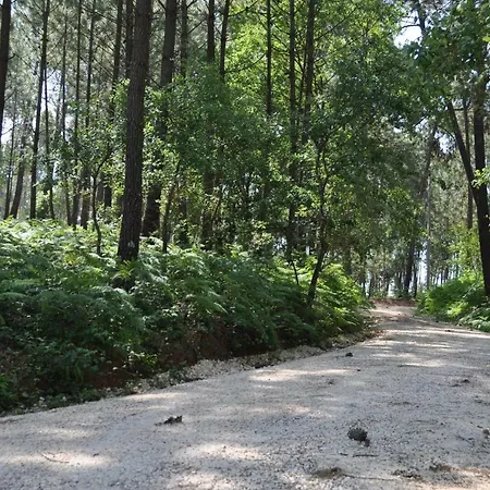 Quinta Da Serrana Gospodarstwo agroturystyczne