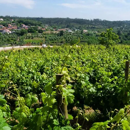 Farm stay Quinta Da Serrana Ourem