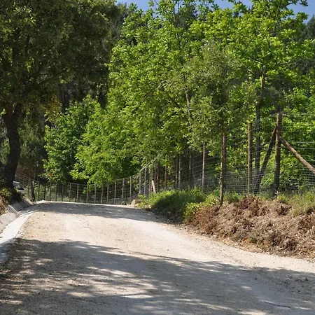 Quinta Da Serrana Ourem