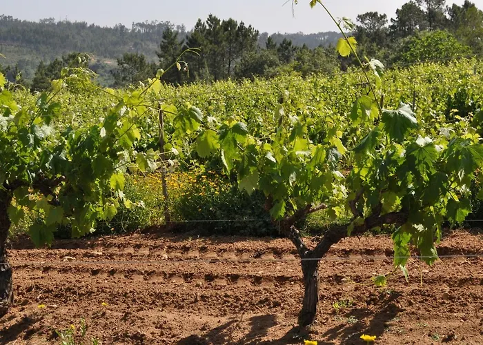 Quinta Da Serrana * Ourém