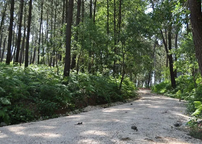 Quinta Da Serrana Agroturismo