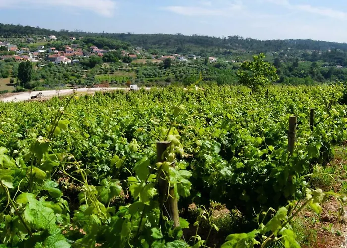 Gospodarstwo agroturystyczne Quinta Da Serrana Ourém