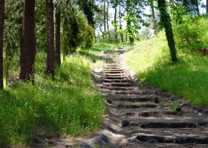 Gospodarstwo agroturystyczne Quinta Da Serrana Ourém